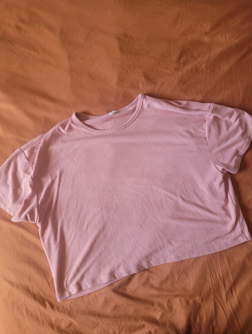 ARITZIA Wilfred Pink Cropped Crewneck Tee Size Large